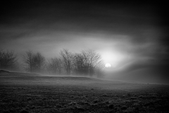 Shelby Farms at Sunrise