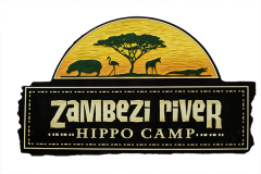Zambezi River Hippo Camp