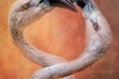 Intertwined