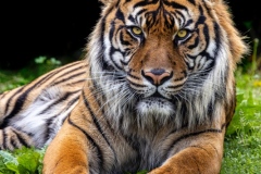 You Looking at Me